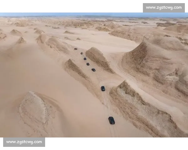阳光沙海燃动青岛：世界沙排巡回赛演绎肌肉线条与海浪的交响